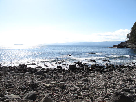 20190118hike (42)